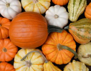 Assorted pumpkins